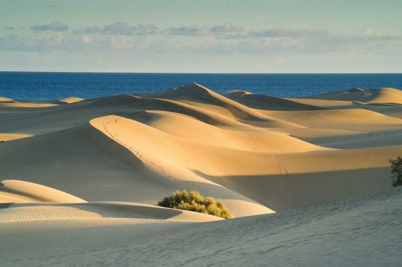 Las Olas Beach Playa del Inglés Eksteriør bilde